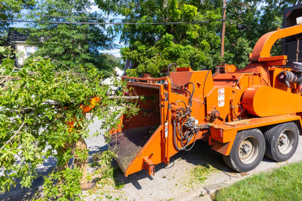 Best Commercial Tree Services  in , ID